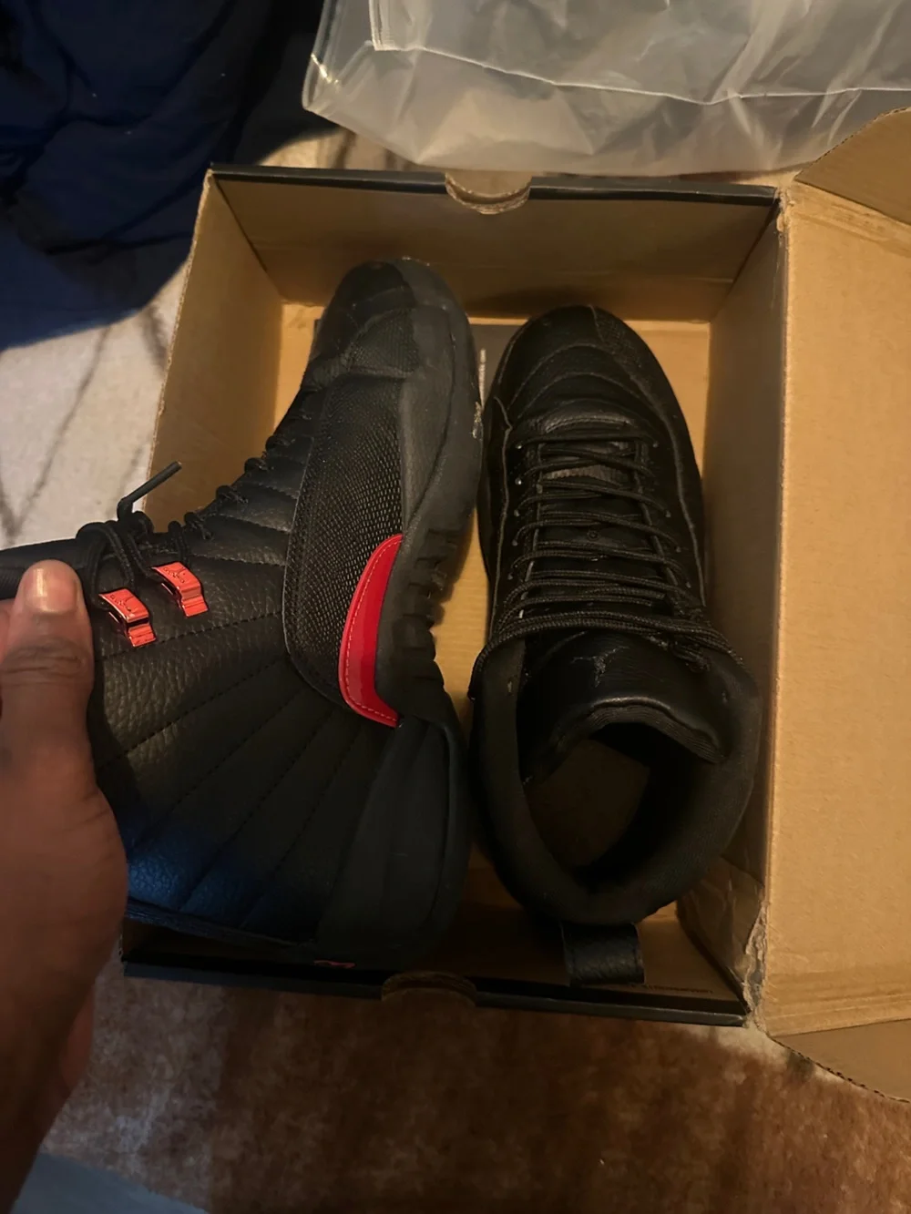 Jordan 12 bloodline men